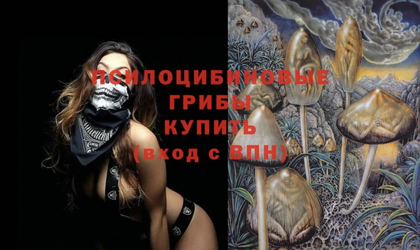 MDMA Premium VHQ Белокуриха
