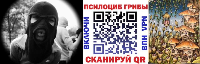 купить  сайты  Первомайск  Галлюциногенные грибы мицелий 